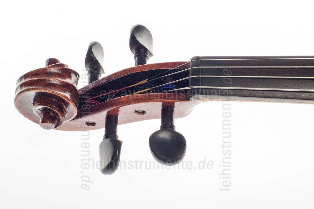 zur Artikelbeschreibung / Preis 1/2 (14" Zoll) Bratsche (Viola)  - GASPARINI MODELL PRIMO - Komplettset - vollmassiv