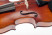 gasparini-primo-14-zoll-griffbrett.jpg