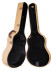 gitarrenkoffer-hoefner-3052-offen.jpg