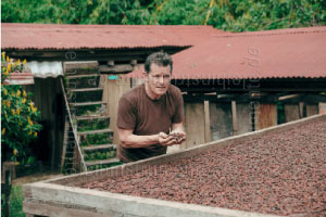 zur Artikelbeschreibung / Preis Willie`s Kakao 100% - COLOMBIAN BLACK - LOS LLANOS - 180g Block zum Raspeln