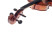 gasparini-primo-3_4-linkshaender-schnecke.jpg